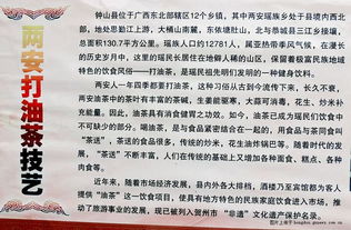 非物質(zhì)文化遺產(chǎn)走進(jìn)校園作文