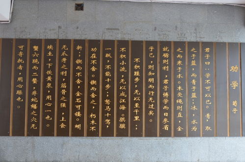 移步換景我的校園作文200字