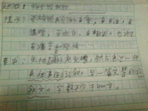 校園樂(lè )趣作文400字左右