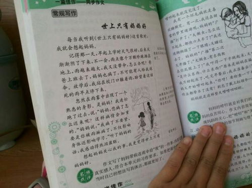 形容校園操場(chǎng)的作文的題目