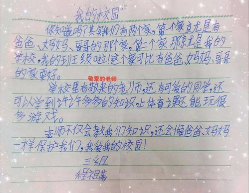 作文,校園生活,快樂(lè )