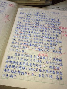 青春校園同學(xué)之間作文開(kāi)頭