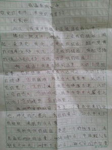 有關(guān)描寫(xiě)校園的抒情作文