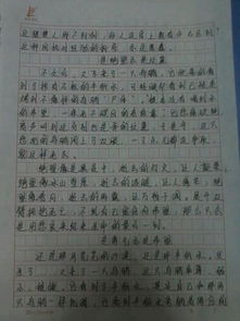 美麗的校園作文有小標題
