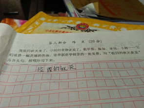 屬于校園的幸福作文
