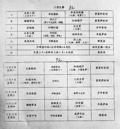 校園里的愛的午餐作文