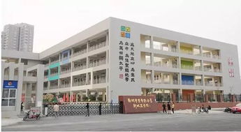 寫(xiě)徐州青路小學(xué)校園的作文