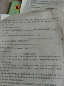 描寫(xiě)校園的圖書(shū)館作文300字,圖書(shū)館的作文350字,描寫(xiě)學(xué)校圖書(shū)館的作文
