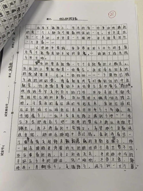 初中作文我的校園500字作文,秋天的校園初中作文500字,新的校園初中作文500字