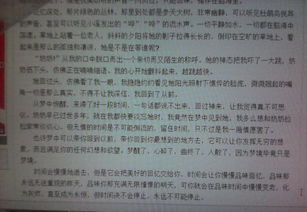 小學(xué)校園時(shí)光的作文600字