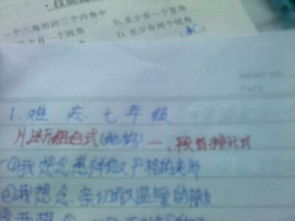 美麗的校園作文七級