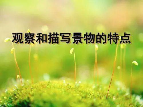 八級上冊校園一景作文范文