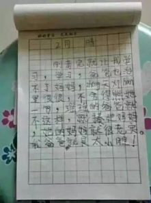 作文,你到,校園