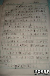 寫(xiě)一篇關(guān)于運(yùn)動(dòng)會(huì)的一篇作文,寫(xiě)一篇校園運(yùn)動(dòng)會(huì)的作文,如何寫(xiě)校園運(yùn)動(dòng)會(huì)作文