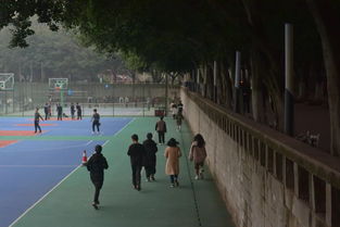 作文,結尾,運動,校園