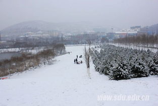 作文,雪景,視聽(tīng),校園