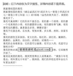 校園里的菊花樹(shù)作文