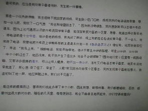 初二作文校園一景700字