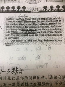 作文,英語,中學,校園