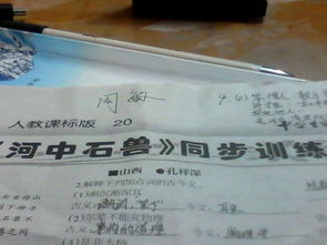 作文,關于我們,校園,百字