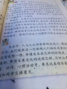 校園印記作文800字,我的校園作文400字,我們校園的作文400字