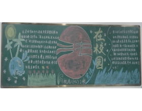 校園安全的作文800字高中作文大全