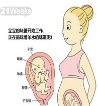 孕婦懷孕21周注意事項,懷孕21周同房注意事項,懷孕2-3周注意事項