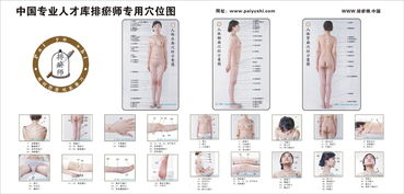 排瘀注意事項和禁忌,身體排濕后的注意事項,瀉血排瘀的注意事項
