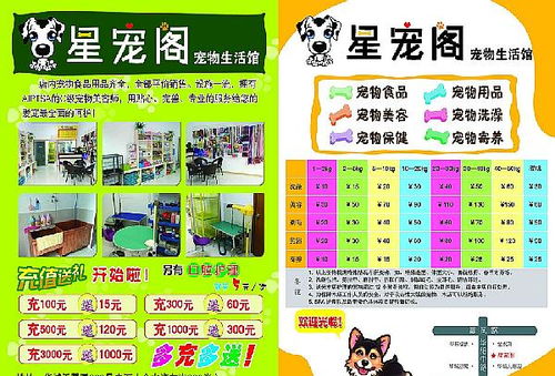 開(kāi)寵物店注意事項