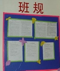 規(guī)章制度,班級(jí),注意事項(xiàng),過(guò)程