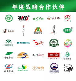 茶藝技能大賽的注意事項