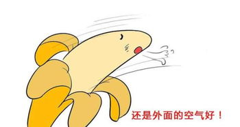 長(cháng)沙,陰莖,延長(cháng),注意事項