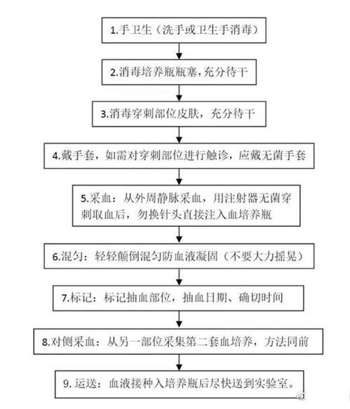 血液標本采集程序及注意事項研究