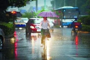 臺風(fēng)暴雨天氣安全注意事項(xiàng),臺風(fēng)暴雨天氣行車注意事項(xiàng),臺風(fēng)天氣安全注意事項(xiàng)