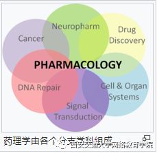 藥理學(xué),注意事項,kcl