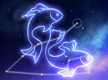 雙魚(yú)配雙魚(yú)注意事項