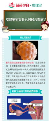 胚胎著(zhù)床時(shí)期注意事項,胚胎著(zhù)床后注意事項,試管胚胎著(zhù)床后注意事項