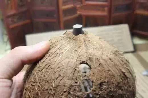 把玩,注意事項