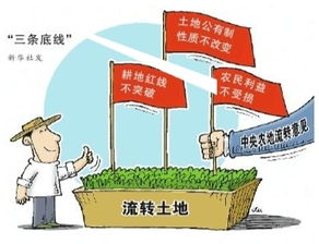 承包農村土地注意事項
