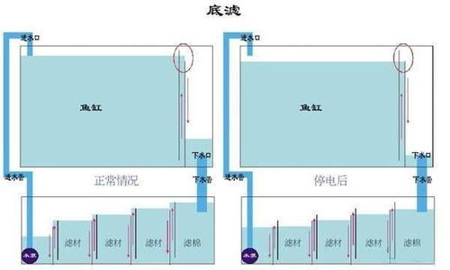魚(yú)缸底濾改造注意事項(xiàng)
