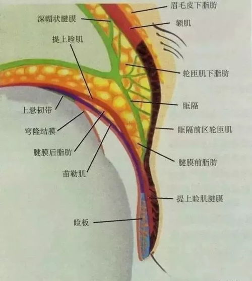 注意事項,手術(shù)