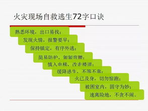 演示,注意事項