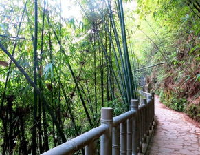 游玩,注意事項,山竹