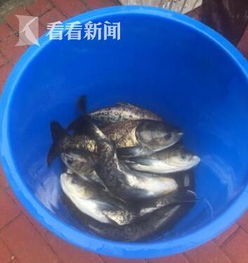 水庫,注意事項