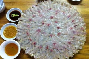 食魚(yú)生注意事項