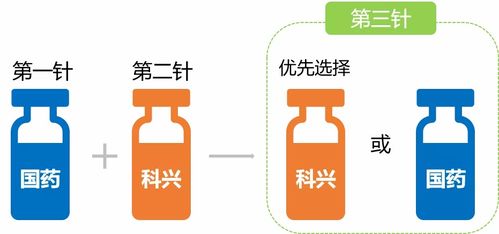 動(dòng)物免疫接種的方法及注意事項,免疫接種的注意事項,簡(jiǎn)述免疫接種的注意事項