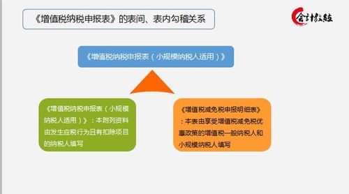 個(gè)人所得稅申報注意事項,國際收支申報注意事項,稅務(wù)申報注意事項