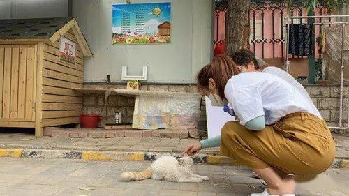 咬傷,注意事項