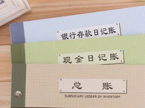 新開(kāi)企業(yè)建帳注意事項