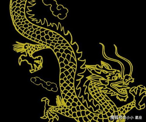 開(kāi)大,注意事項,金龍